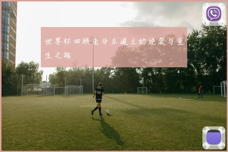 世界杯回顾南非东道主的逆袭与重生之路
