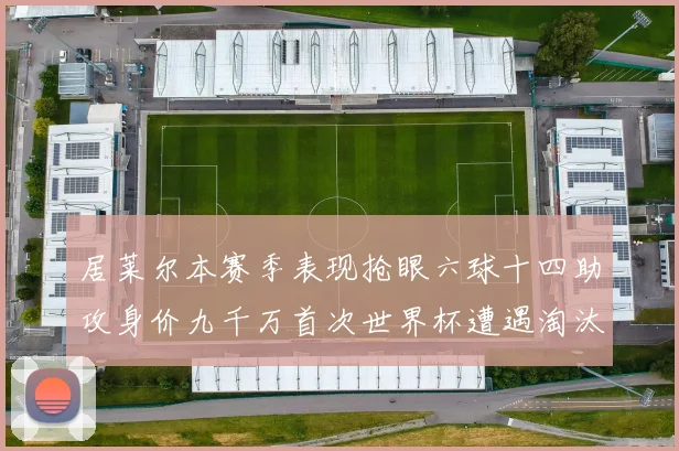 居莱尔本赛季表现抢眼六球十四助攻身价九千万首次世界杯遭遇淘汰
